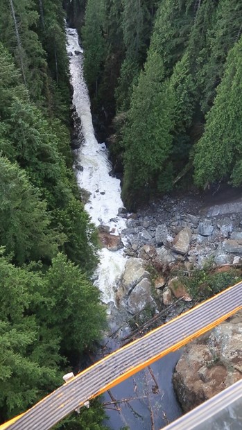 Massive boulders partially block the Seymour River as seen from above.