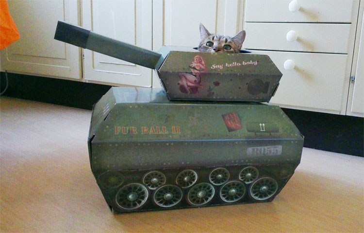 cat tank