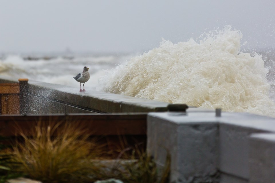 Waves were crashing into the sea wall protecting beach-front properties in Boundary Bay Wednesday morning as the area was hit by a storm surge at high tide.