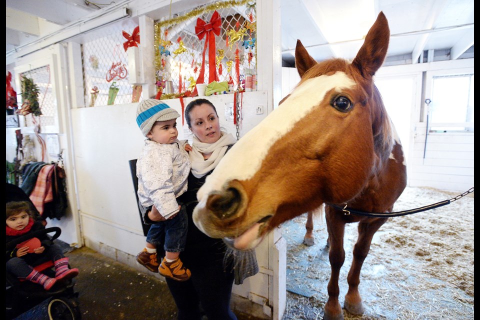 Ruby and Ethan Taylor, 1, with Splatt the horse
The annual Burnaby Horsemen's association's Christmas with the Horses at the Burnaby Equestrian Centre.