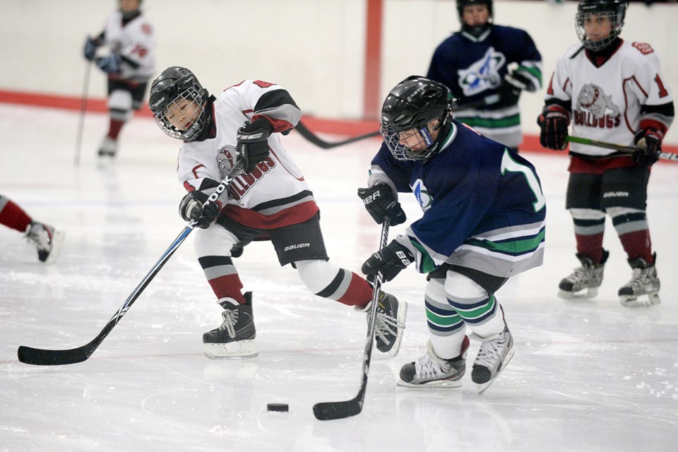 12-14-14
Burnaby minor atom C4 vs Arbutus Club in presidents league orange group hockey at Kensington Arena.
Photo: Jennifer Gauthier