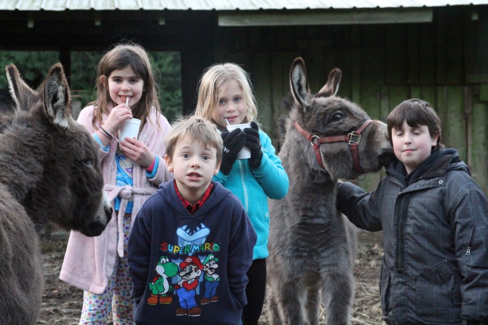 Donkeys, pigs, horse and hot chocolate... what else could a kid ask for? Kids of all ages enjoyed the Christmas spirit at Endswell Farm on Sunday.