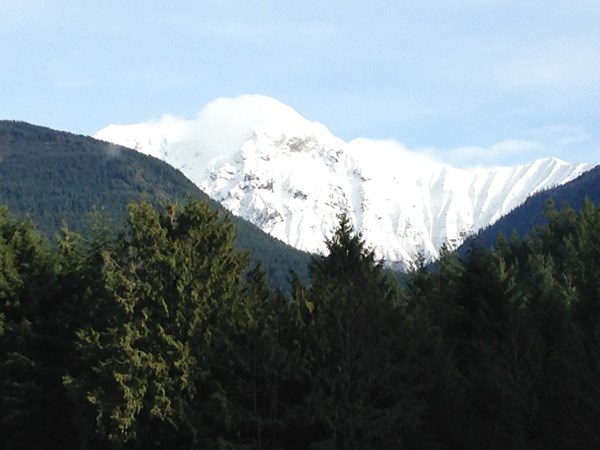 Garibaldi