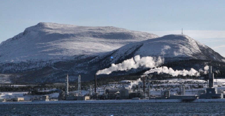 oil