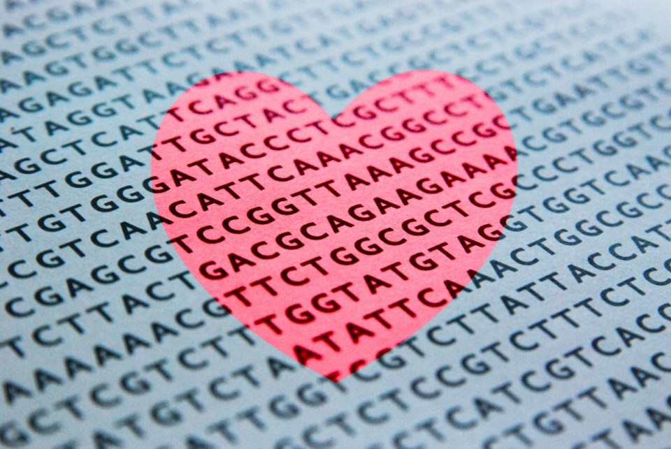 DNA and love