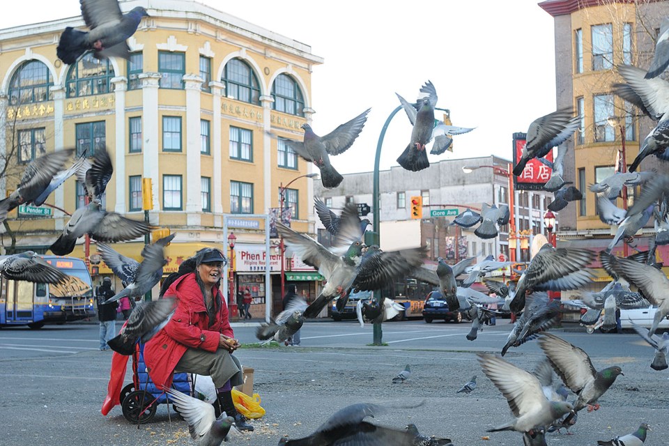 Gem Birdie feeds the birds in a vacant lot at Gore and Pender streets in Chinatown. Photo Dan Toulgoet