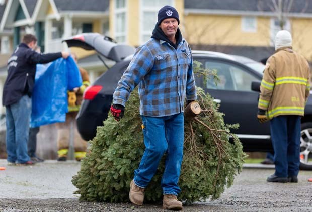 Christmas tree recycling_12