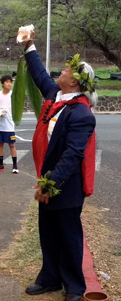 Hawaii elder
