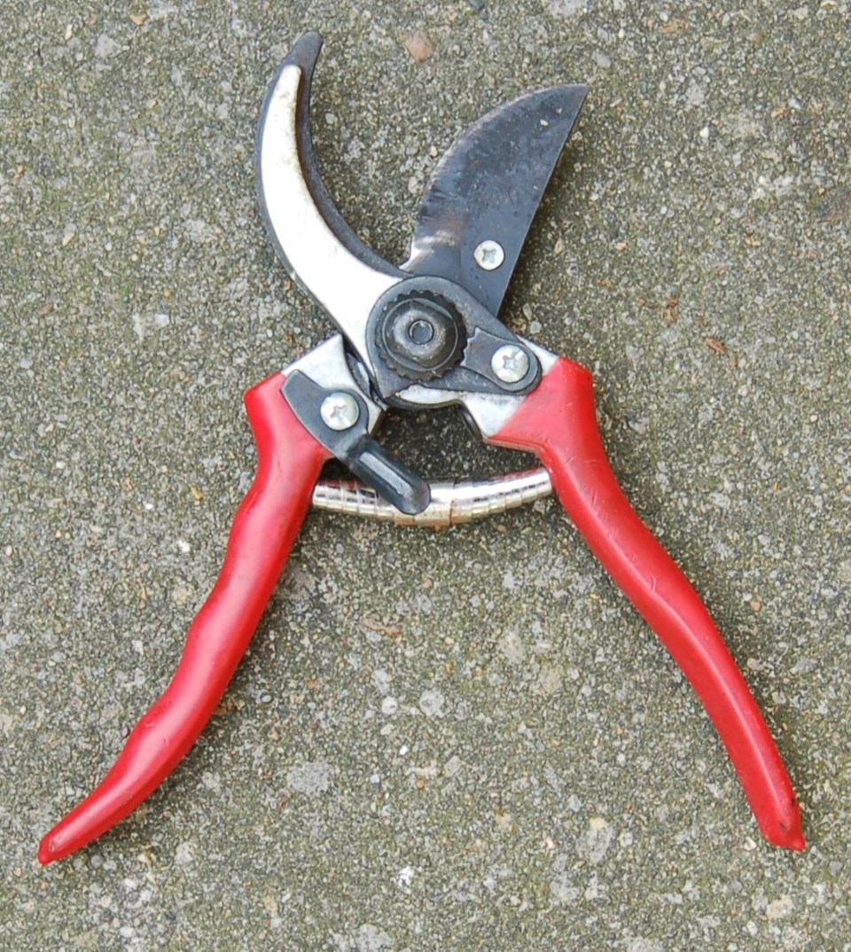 shears