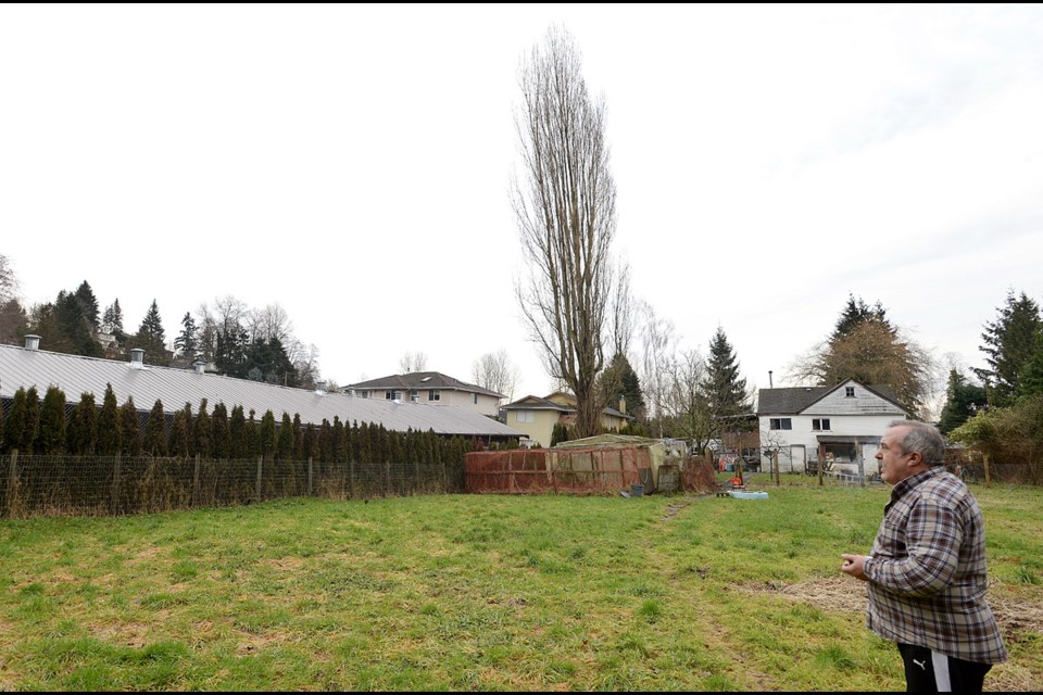 Controversy: The view of a medical marijuana grow operation on Thorne Avenue from Gino D’Onofrio’s property.