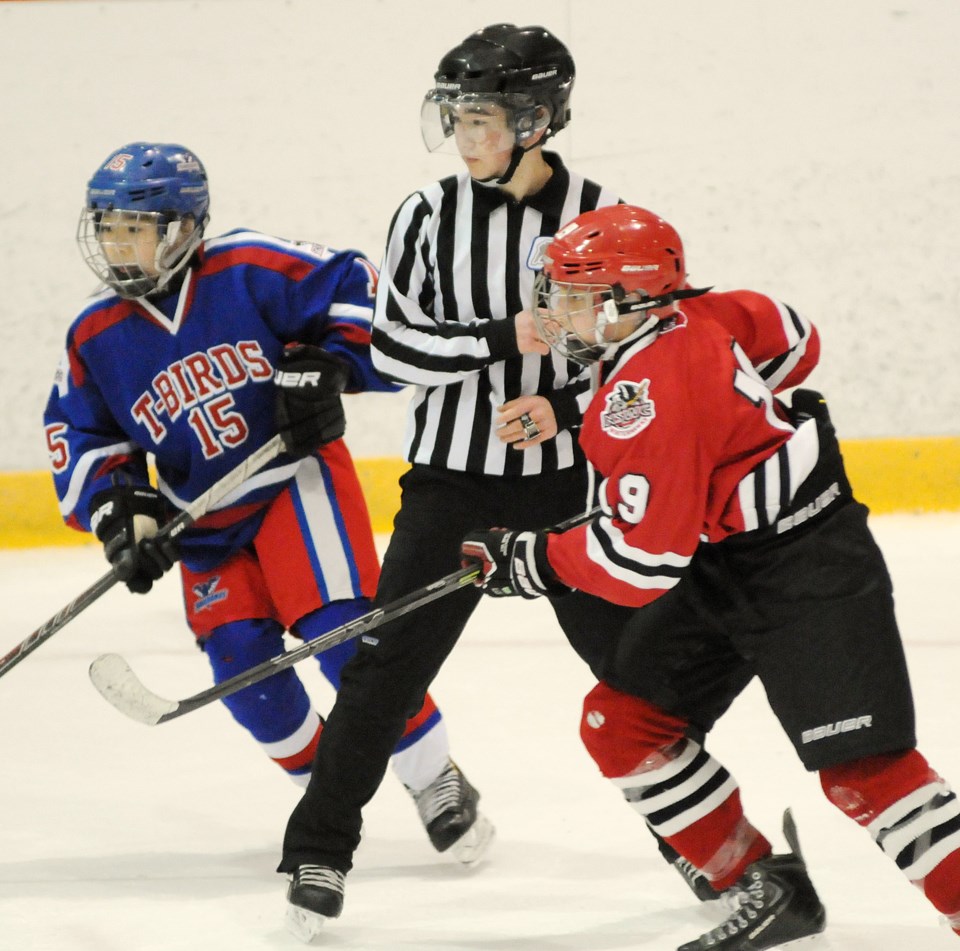 hockey referee