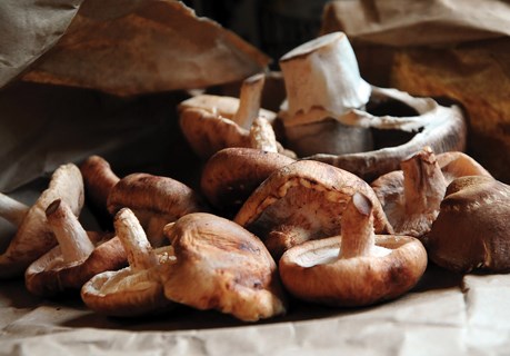 Mushrooms