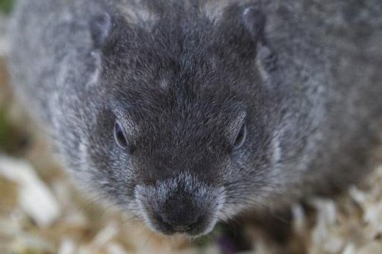 Groundhog-Day.02.jpg