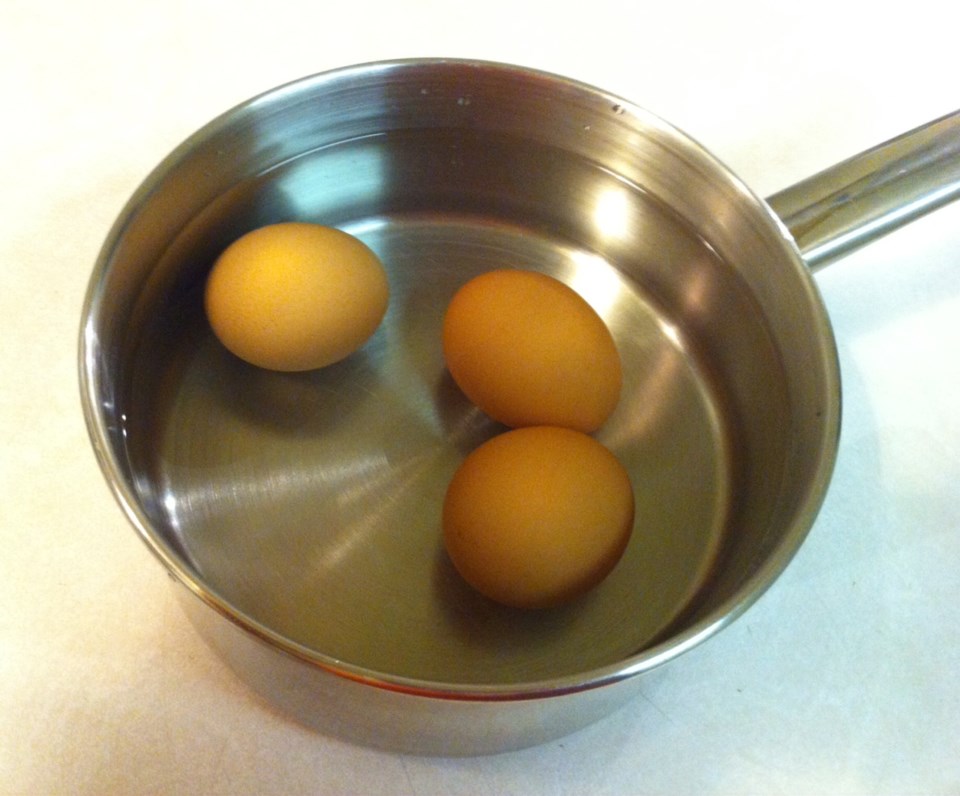 Eggs in a pot, ready for boiling.