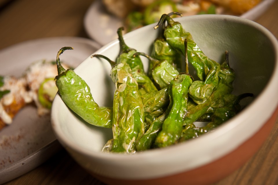 nosh TACOFINO Shishito Peppers-3440.jpg