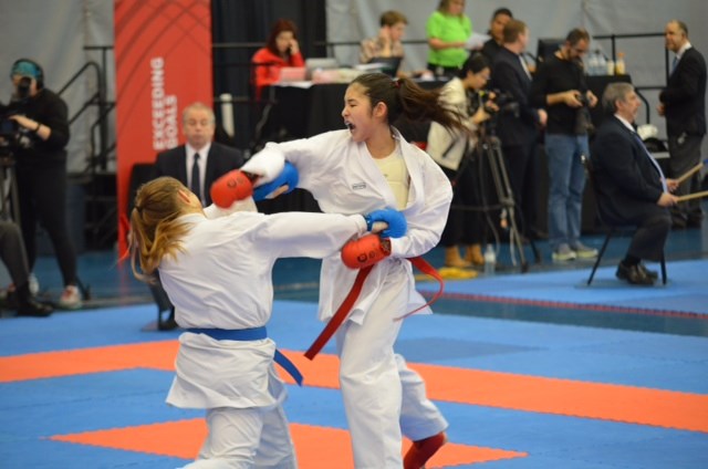 BKA karate