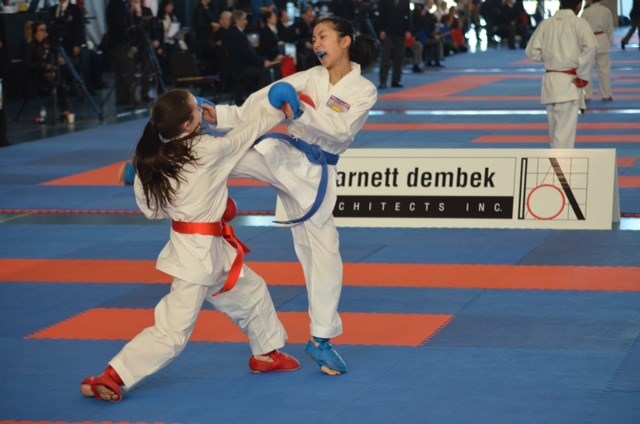 BKA karate