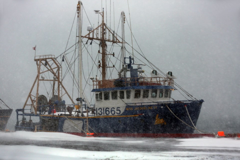 Fishing boats were tied up in St. John's Harbour on Thursday during the first major snowstorm of the season. It is the first of three systems expected to hit St. John's in the next four days.