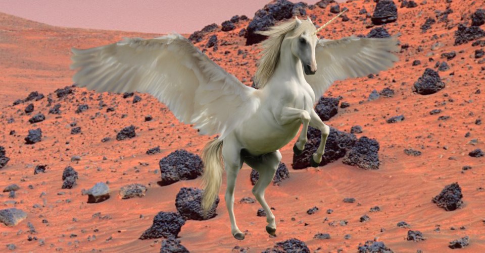 unicorn