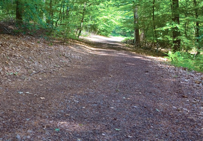 Trail