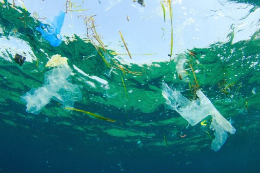 Plastic Ocean