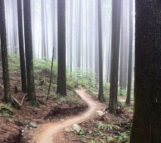 Fromme mountain trail