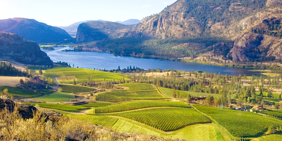 BC Wine