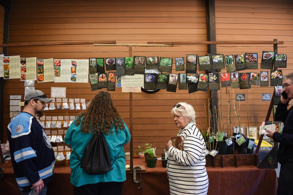 Twining Vine Garden was a popular stop for people looking for heritage and heirloom seeds during this past weekend’s Seedy Saturday in the Floral Hall at VanDusen Botanical Gardens. Photograph by: Rebecca Blissett
