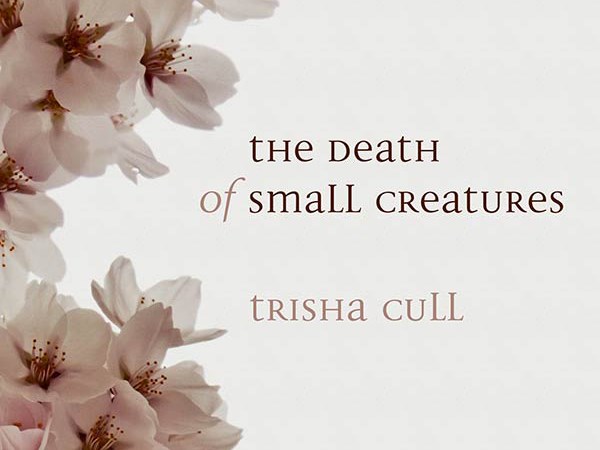 Trisha Cull