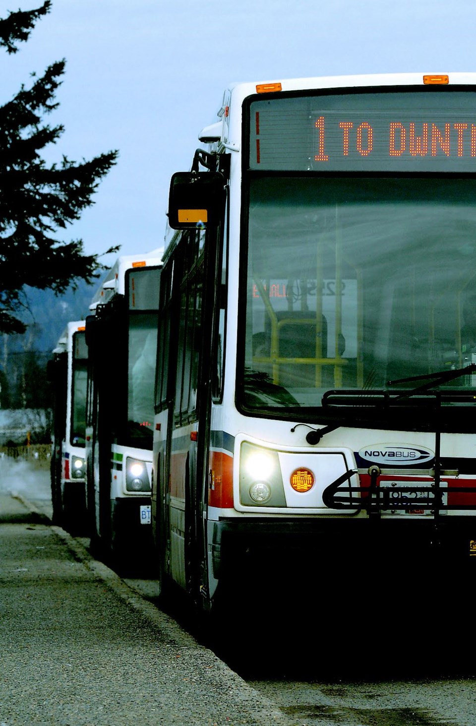 bus-numbers.06.jpg