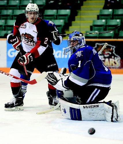SPORTS-Cougarsgamer.07.jpg