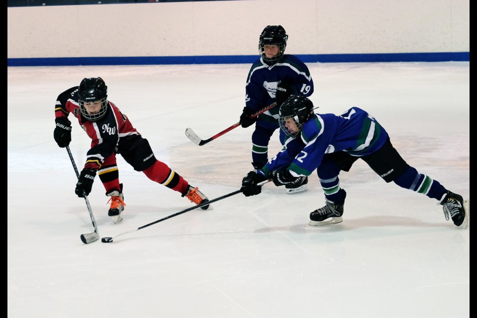 New West atom C2 hockey vs North vancouver C3 at Bobby Love atom C tourney at Moody park Dave Phelan dwphelan@sfu.ca