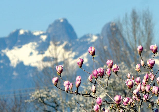 Spring scenic
