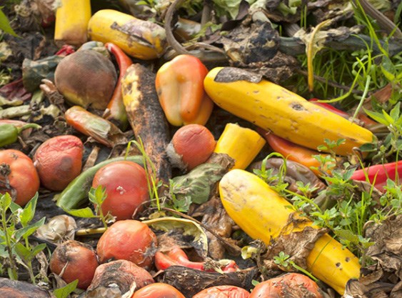 Veggies