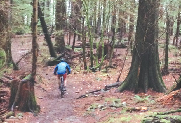 Mountain biker