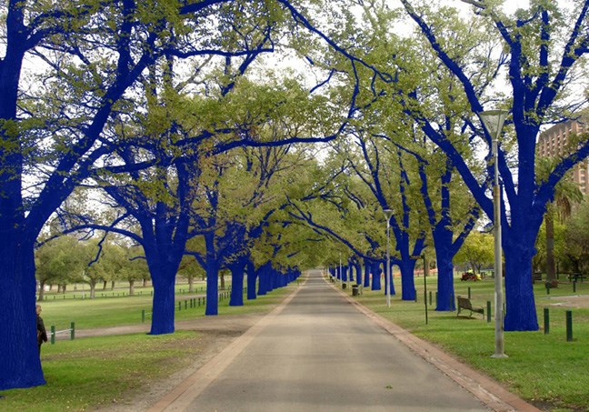 blue trees