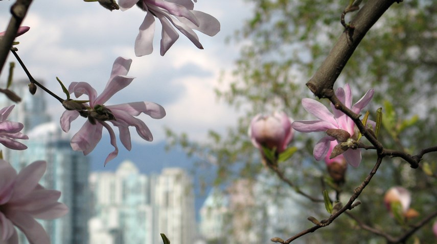 Vancouver spring