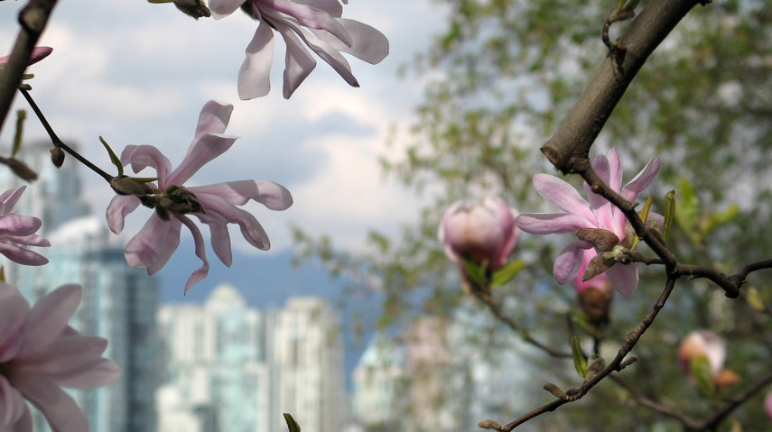 鶹ýӳspring