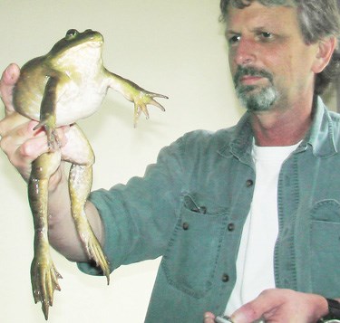 Capital Regional District directors divided on battle with bullfrog -  Victoria Times Colonist
