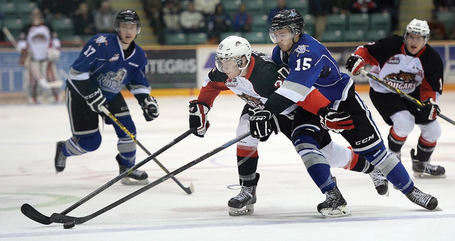 Cougars playoff
