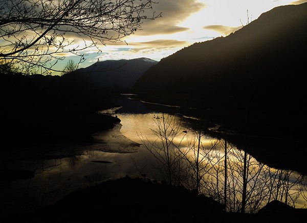 Estuary