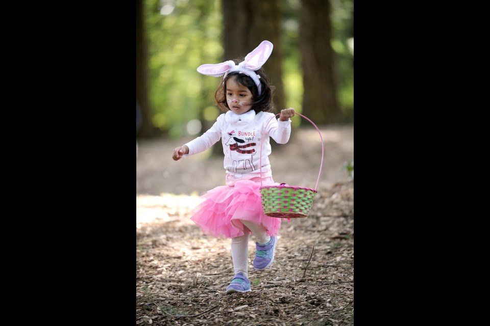 2-year-old Dua Kazmi of Surrey hunts for Easter eggs in Queen's Park.