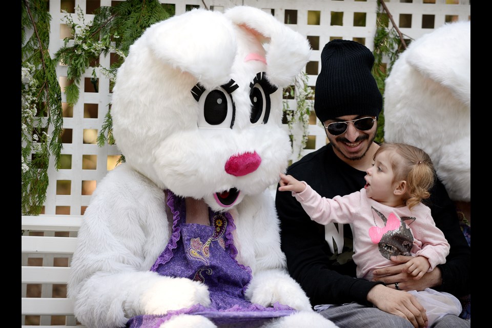 Are you for real? Two-year-old Nahla Navarro checks out the Easter Bunny during a photo session.
