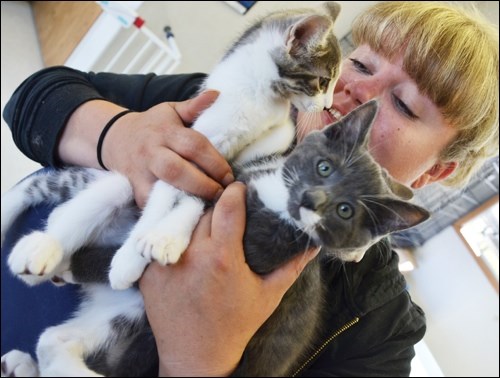 SPCA