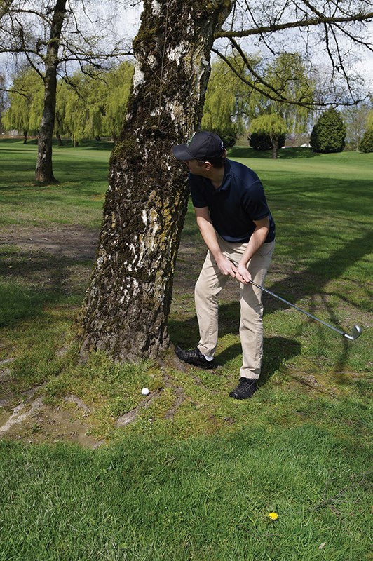 Woods golf
