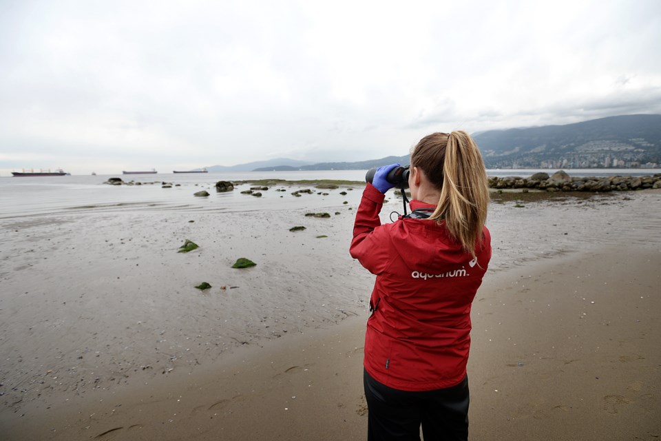 The Oiled Wildlife Society first responders survey Third Beach Photo: Jennifer Gauthier