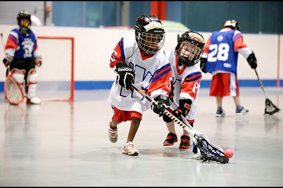 04-12-15
New Westminster Salmonbellies minor lacrosse mini-tyke jamboree at Moody park arena.
Photo: Jennifer Gauthier