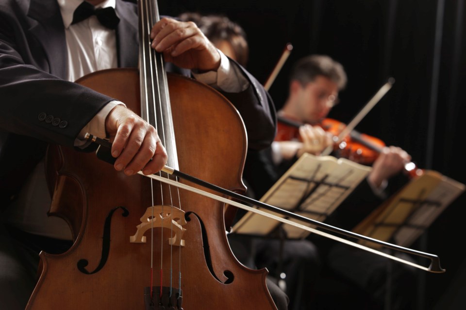 The NWSS strings program is seeking gently used instruments, particularly violins, cellos, double basses and guitars.