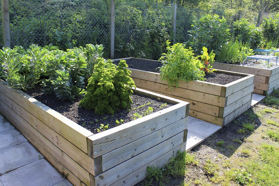 community garden