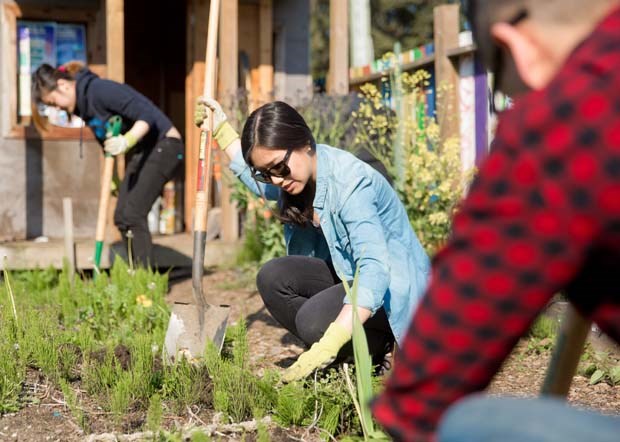 Garden clean up_2